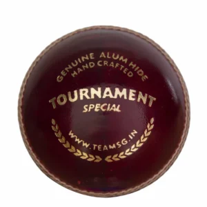 SG Cricket Ball - Tournament Special - Image 1