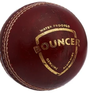 SG Cricket Ball Bouncer - Image 1