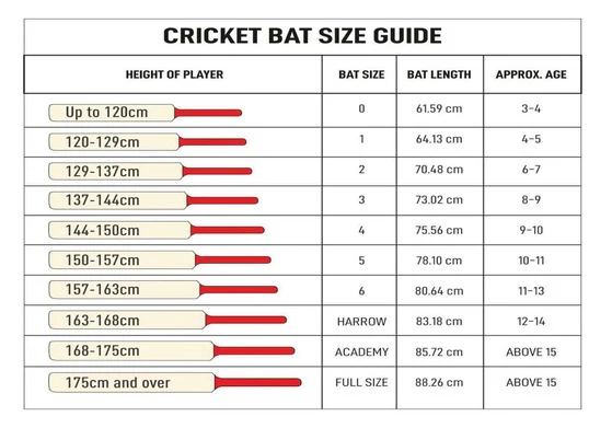 bat_size-3